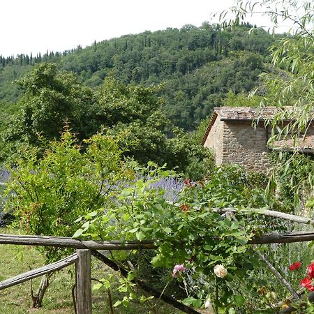 Il Capriolo Villa San Cerbone Exterior photo